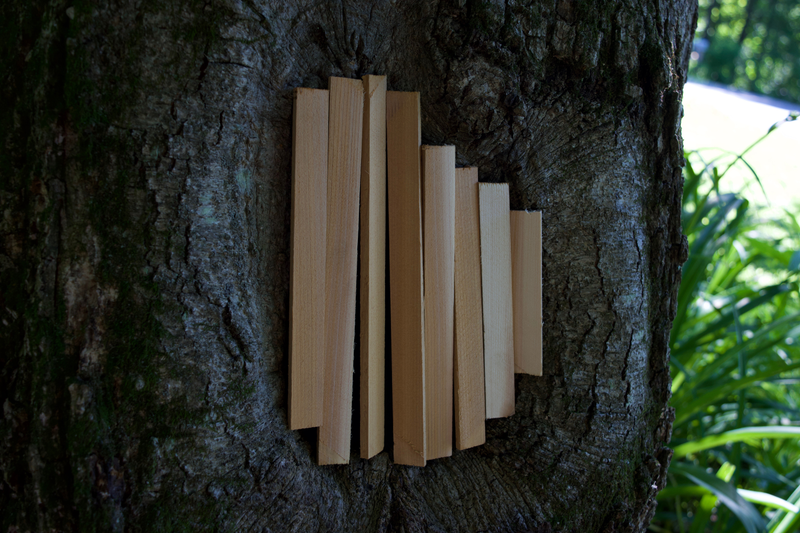 Illustration for article titled Put a door on my tree